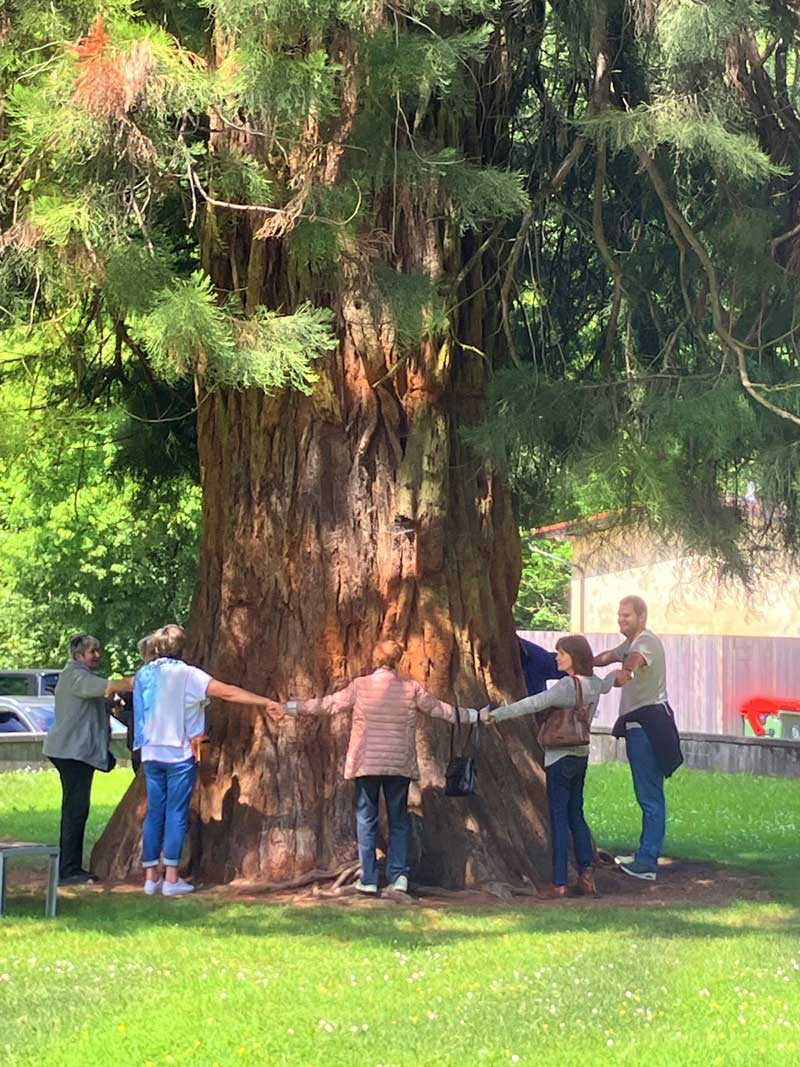 Vereinsausflug über 2 Tage: Dornbirn-Bludenz-Altenrhein